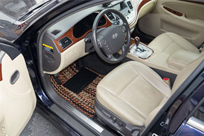 2011 Hyundai Genesis - Coco #91 Jaspe ( Calico )
