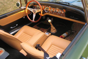 Sunbeam Tiger - Coco #91 Jaspe ( Calico )