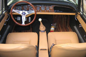 Sunbeam Tiger - Coco #91 Jaspe ( Calico )