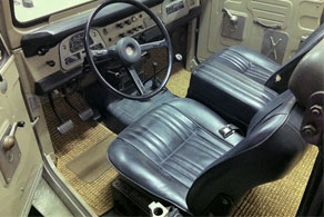 1974 Toyota FJ40 - SeaGrass #73 Large Weave (Color Currently Discontinued)